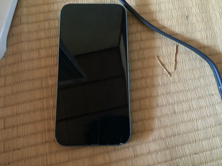 iPhone 16 Plus 128GB docomo（スマホ）の商品画像 - 査定依頼日：2025年12月13日 - 最高査定価格：71,000円