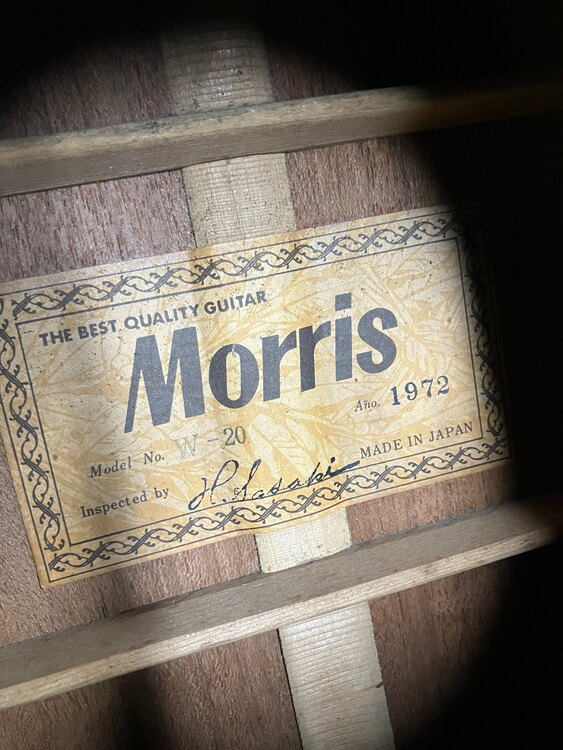 Morris W-20 アコースティックギター（ピアノ・楽器・PA機材）の商品画像 - 査定依頼日：2024年11月15日