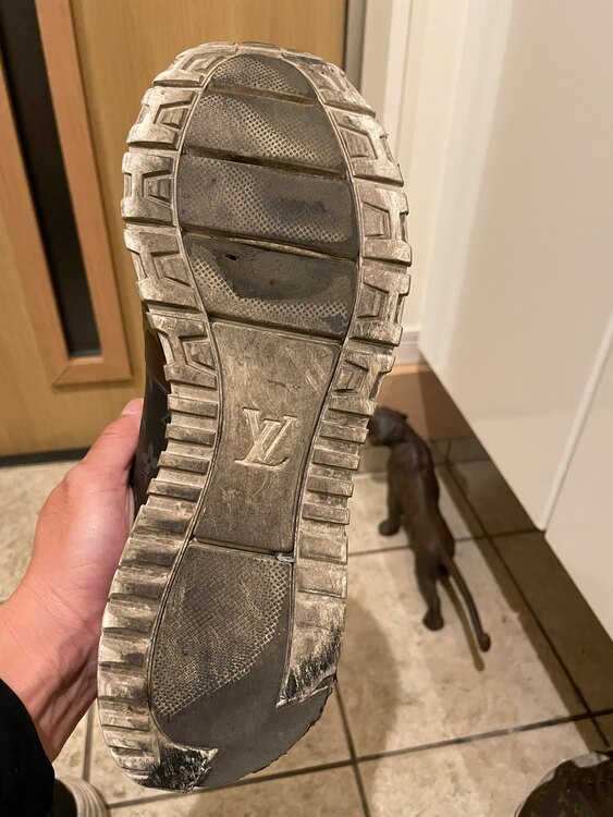 ルイヴィトンスニーカー（古着・ファッション）の商品画像 - 査定依頼日：2025年3月20日 - 最高査定価格：3,000円