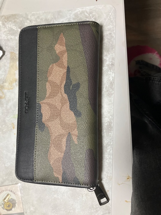 その他 コーチ （ブランドバッグ）の商品画像 - 査定依頼日：2026年2月22日 - 最高査定価格：2,000円