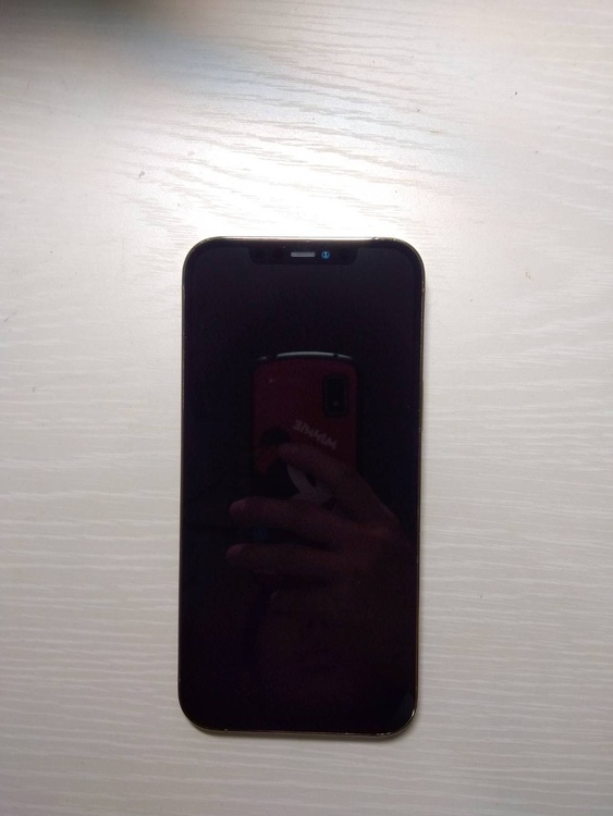 iPhone iPhone 12 Pro Max 256GB SIMフリー（スマホ）の商品画像 - 査定依頼日：2026年5月28日 - 最高査定価格：45,000円