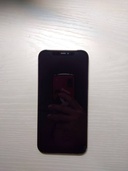 iPhone iPhone 12 Pro Max 256GB SIMフリー（スマホ）の商品画像 - 査定依頼日：2026年5月28日 - 最高査定価格：45,000円