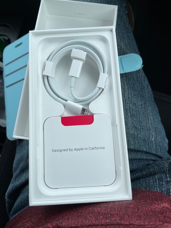 iPhone SE (第 2 世代) 64GB SIMフリー（スマホ）の商品画像 - 査定依頼日：2026年3月3日 - 最高査定価格：13,000円