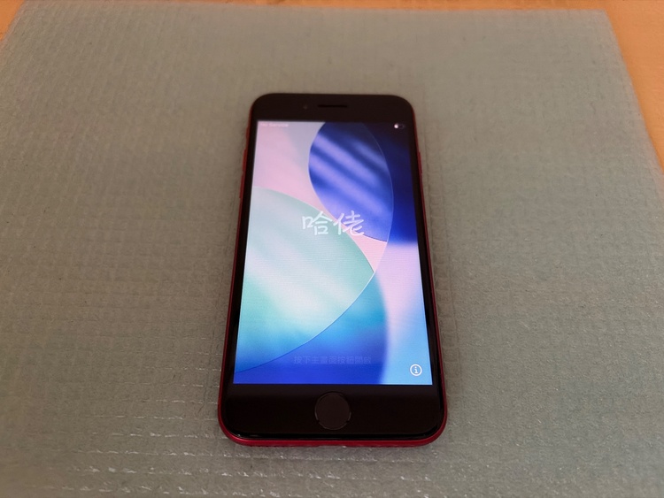iPhone iPhone SE (第 2 世代) 64GB SIMフリー（スマホ）の商品画像 - 査定依頼日：2026年9月10日 - 最高査定価格：11,000円