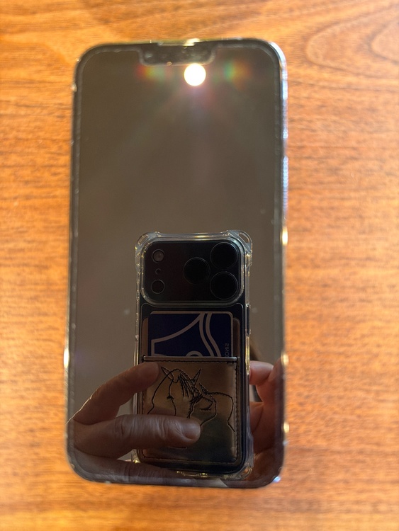 iPhone iPhone 13 Pro 256GB docomo（スマホ）の商品画像 - 査定依頼日：2026年9月1日 - 最高査定価格：51,500円