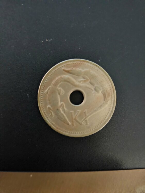 パプアニューギニア　コイン（金・貴金属）の商品画像 - 査定依頼日：2026年6月24日 - 最高査定価格：100円
