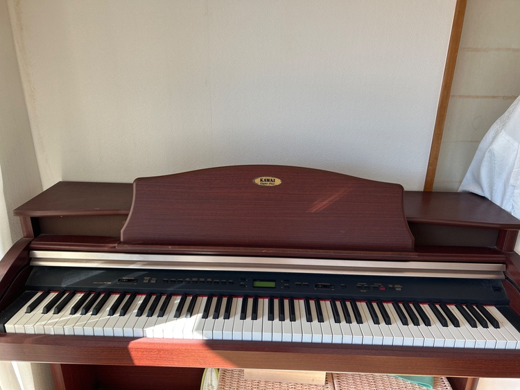 PW1000（ピアノ・楽器・PA機材）の商品画像 - 査定依頼日：2026年1月23日 - 最高査定価格：3,000円