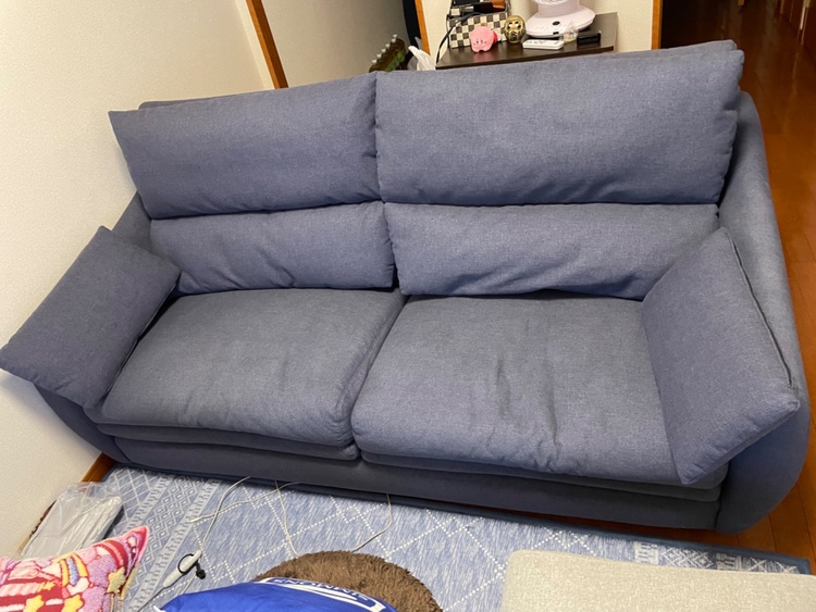 ソファ（家具・寝具）の商品画像 - 査定依頼日：2025年6月7日 - 最高査定価格：3,000円