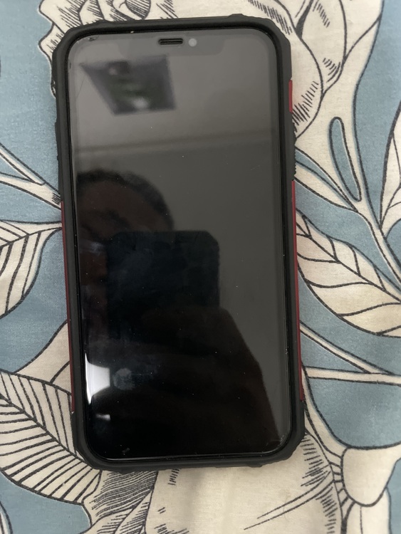 iPhone iPhone11 64GB SIMフリー（スマホ）の商品画像 - 査定依頼日：2026年5月20日 - 最高査定価格：13,000円