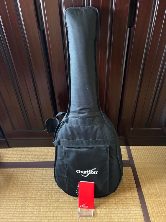 アプローズバイオベーション AE–248（ピアノ・楽器・PA機材）の商品画像 - 査定依頼日：2026年4月21日 - 最高査定価格：14,000円