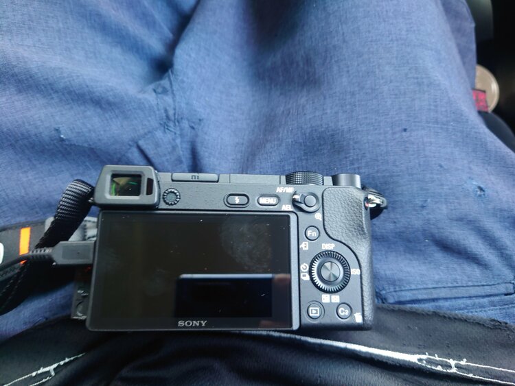 α6300（カメラ）の商品画像 - 査定依頼日：2026年7月23日 - 最高査定価格：47,000円
