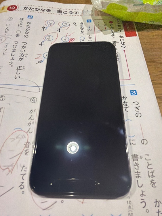iPhone iPhone 13 Pro Max 256GB SIMフリー（スマホ）の商品画像 - 査定依頼日：2026年8月31日 - 最高査定価格：56,000円