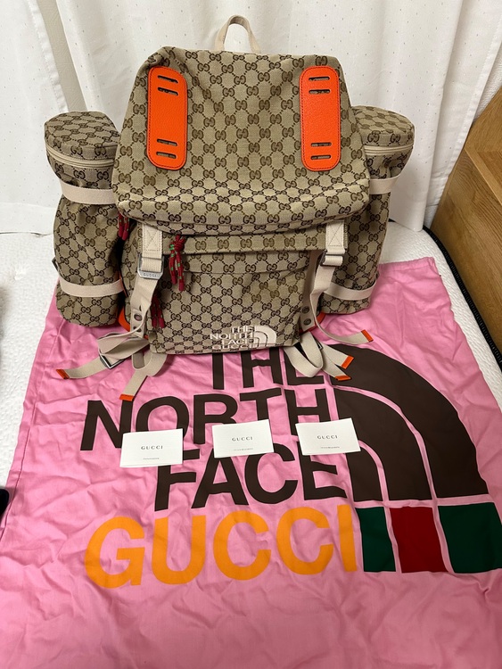 The North Face x Gucci バックパック（ブランドバッグ）の商品画像 - 査定依頼日：2025年8月31日 - 最高査定価格：100,000円