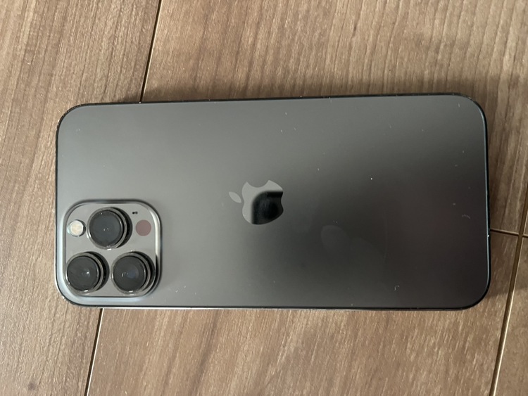 iPhone 13 Pro Max 256GB docomo（スマホ）の商品画像 - 査定依頼日：2026年2月5日 - 最高査定価格：57,000円