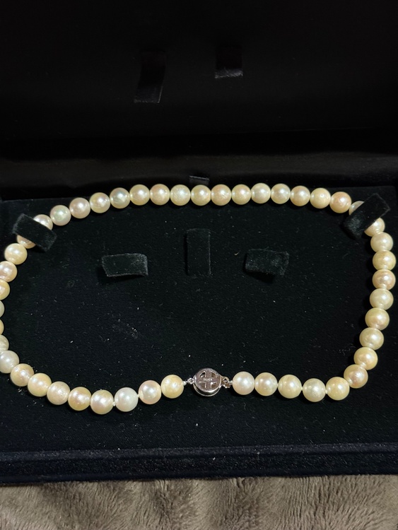 真珠ネックレス（金・貴金属）の商品画像 - 査定依頼日：2026年3月26日 - 最高査定価格：7,000円