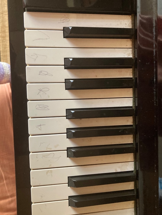 Ｕ3   813348です。（ピアノ・楽器・PA機材）の商品画像 - 査定依頼日：2026年2月20日 - 最高査定価格：5,000円