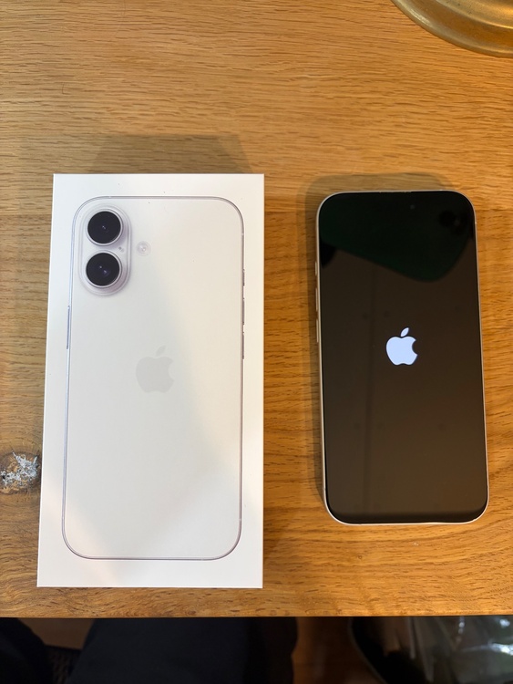 iPhone iPhone 16 256GB SIMフリー（スマホ）の商品画像 - 査定依頼日：2026年6月9日 - 最高査定価格：105,000円