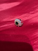 指輪（金・貴金属）の商品画像 - 査定依頼日：2026年3月25日 - 最高査定価格：300,000円