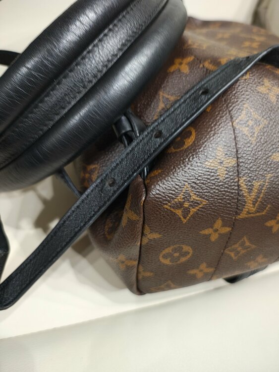 リバースパームスプリングスバックパックPM（ブランドバッグ）の商品画像 - 査定依頼日：2026年7月1日 - 最高査定価格：270,000円