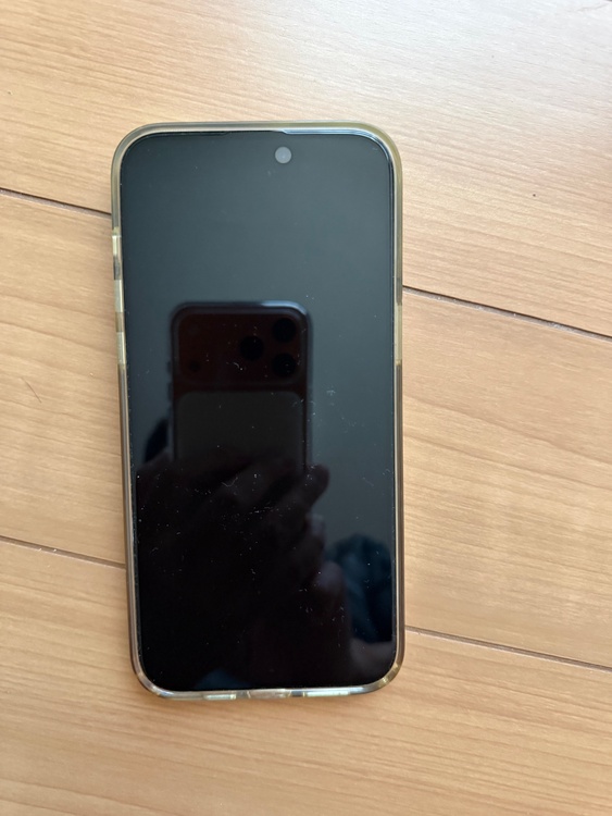 iPhone iPhone 15 Pro Max 256GB SIMフリー（スマホ）の商品画像 - 査定依頼日：2026年6月30日 - 最高査定価格：105,000円
