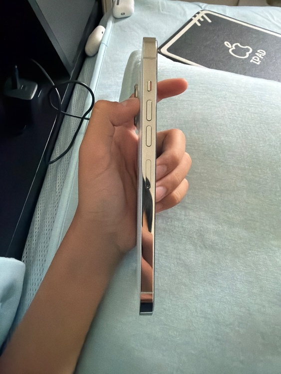 iPhone iPhone 13 Pro Max 256GB Softbank（スマホ）の商品画像 - 査定依頼日：2026年9月13日 - 最高査定価格：64,000円