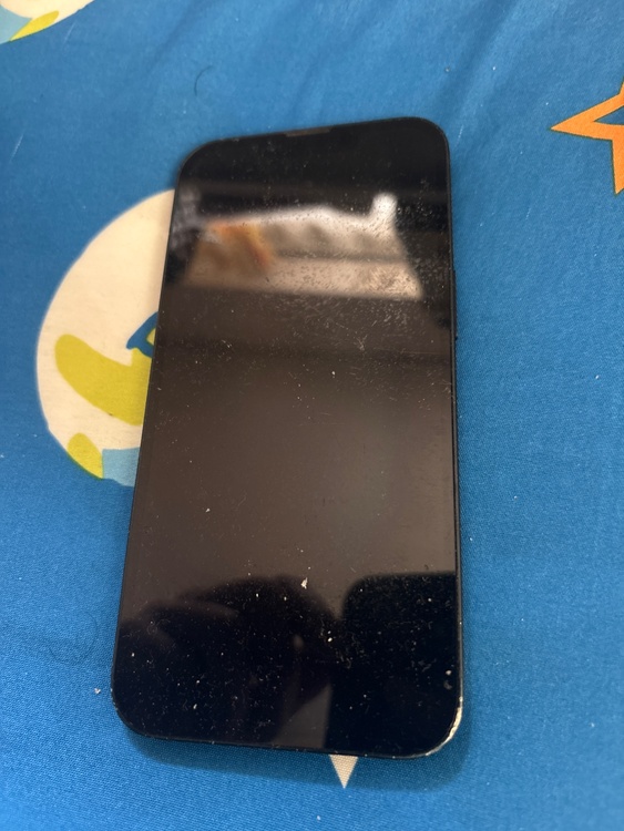 iPhone 13 256GB docomo（スマホ）の商品画像 - 査定依頼日：2026年3月23日 - 最高査定価格：22,000円