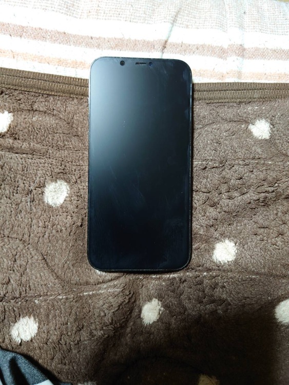 iPhone12プロMax（スマホ）の商品画像 - 査定依頼日：2026年2月4日 - 最高査定価格：41,000円