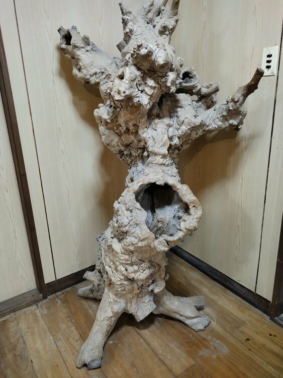 瘤木（原木）（美術品・骨董品）の商品画像 - 査定依頼日：2026年9月29日 - 最高査定価格：3,000円