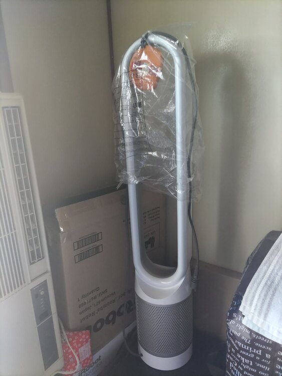 ダイソン扇風機（家電）の商品画像 - 査定依頼日：2025年5月2日 - 最高査定価格：8,000円