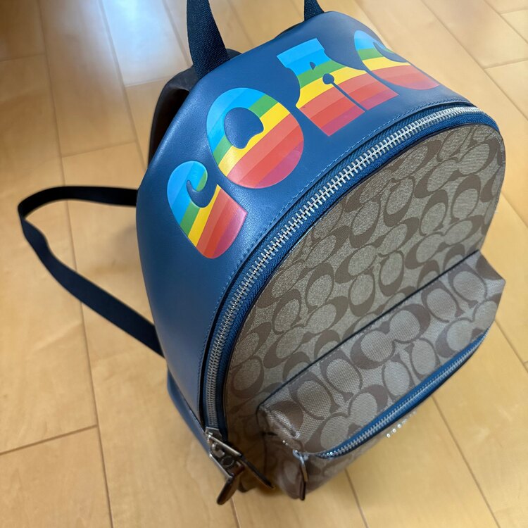 その他 コーチ （ブランドバッグ）の商品画像 - 査定依頼日：2025年4月26日 - 最高査定価格：5,000円