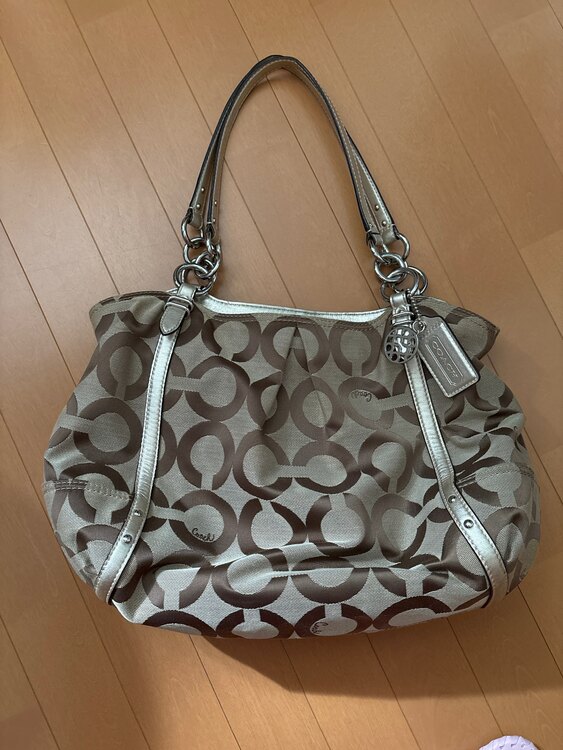 その他 コーチ （ブランドバッグ）の商品画像 - 査定依頼日：2025年3月29日 - 最高査定価格：1,000円