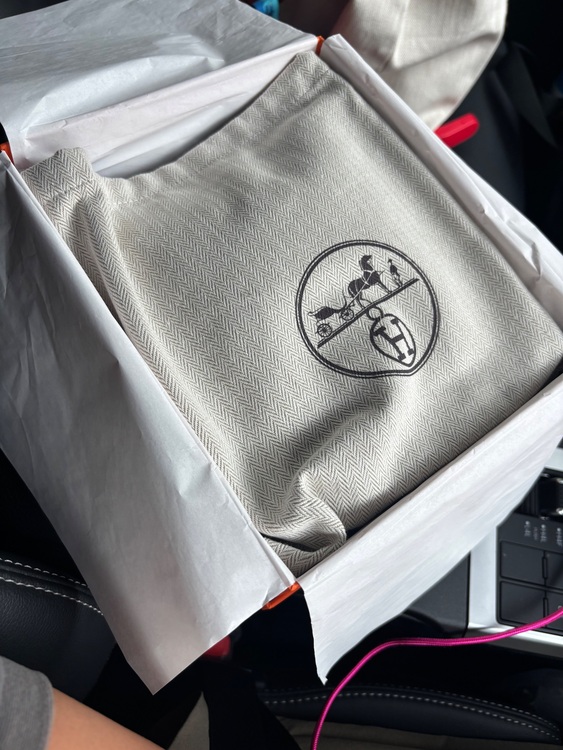 エヴリン tpm（ブランドバッグ）の商品画像 - 査定依頼日：2025年10月25日 - 最高査定価格：370,000円