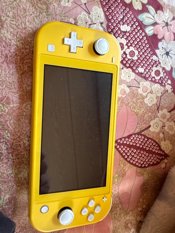 Switchライト（ゲーム機本体・ゲームソフト）の商品画像 - 査定依頼日：2025年7月21日 - 最高査定価格：6,000円