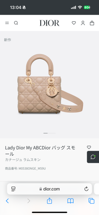 ディオール  （ブランドバッグ）の商品画像 - 査定依頼日：2025年2月14日 - 最高査定価格：400,000円