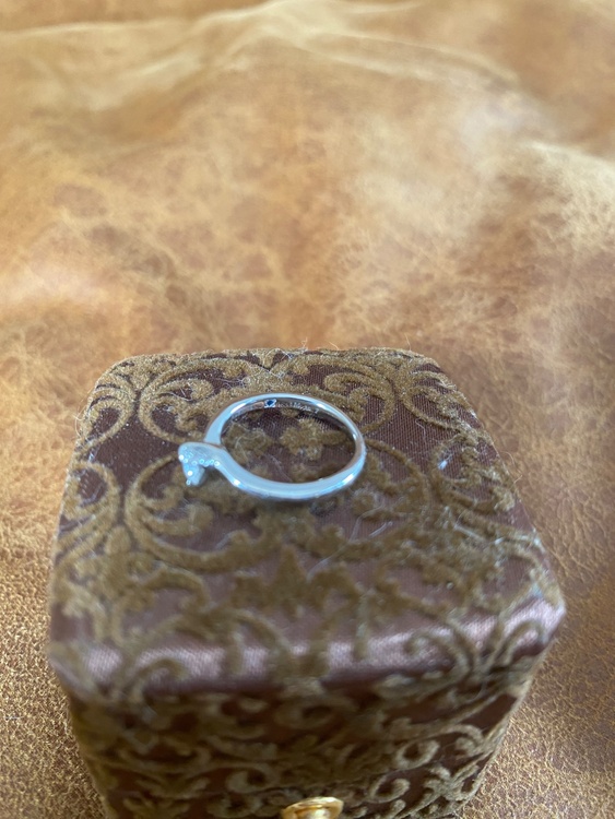 アンジェリックフォセッテ/ミモザ/品番： 61（金・貴金属）の商品画像 - 査定依頼日：2026年3月13日 - 最高査定価格：150,000円