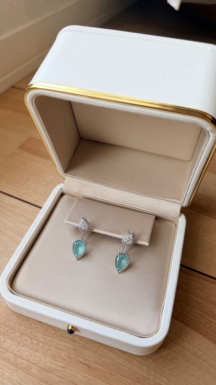 ブシュロン　セルパンボエム 2モチーフ　シングルスタッズ　イヤリング アクアプレーズ（宝石）の商品画像 - 査定依頼日：2026年8月26日 - 最高査定価格：600,000円
