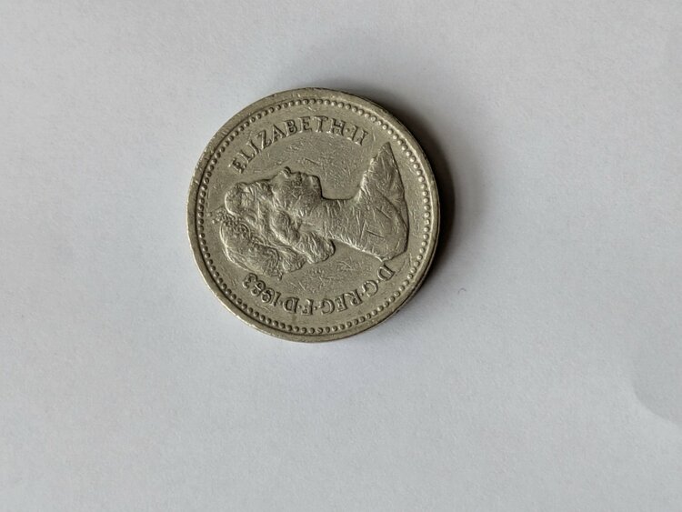 エリザベス硬貨1ポンド1983年（金・貴金属）の商品画像 - 査定依頼日：2026年4月21日 - 最高査定価格：100円