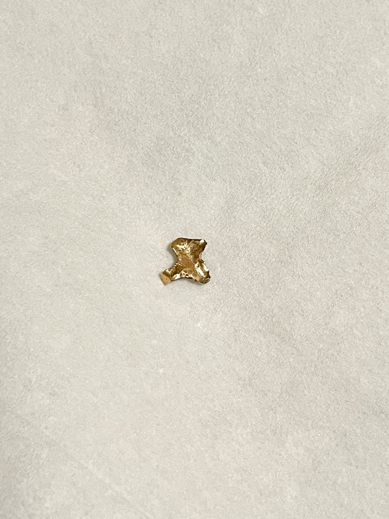 金歯（金・貴金属）の商品画像 - 査定依頼日：2025年9月16日 - 最高査定価格：10,000円