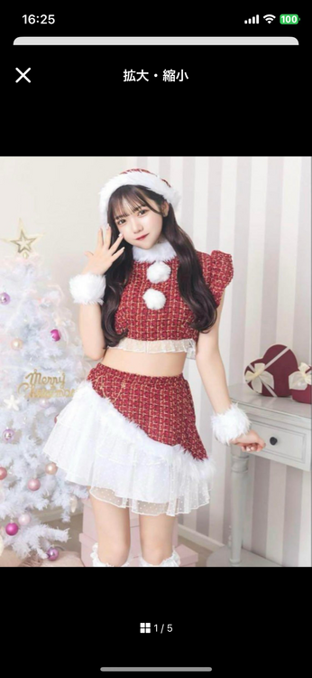 サンタ クリスマス リリパレ ツイードサンタ（その他のおもちゃ）の商品画像 - 査定依頼日：2025年1月15日 - 最高査定価格：500円