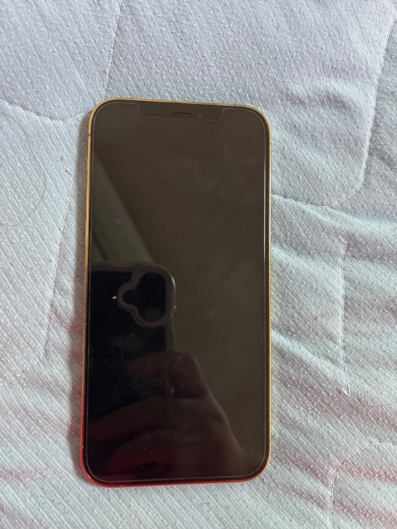 iPhone iPhone 12 Pro 128GB SIMフリー（スマホ）の商品画像 - 査定依頼日：2026年9月5日 - 最高査定価格：33,500円