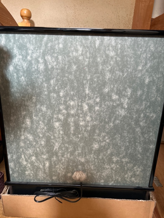 五月人形（美術品・骨董品）の商品画像 - 査定依頼日：2026年3月7日 - 最高査定価格：3,000円