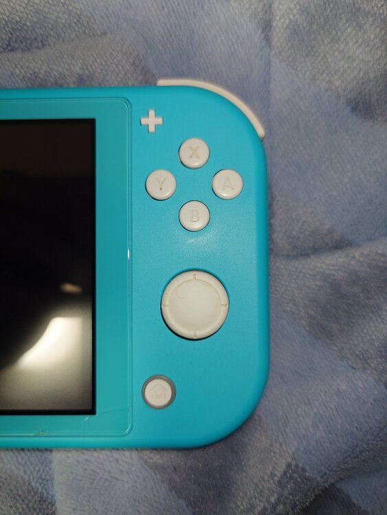 Nintendo Switch Lite（ゲーム機本体・ゲームソフト）の商品画像 - 査定依頼日：2026年4月12日 - 最高査定価格：12,000円