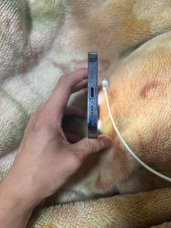 iPhone 13 Pro 256GB au（スマホ）の商品画像 - 査定依頼日：2026年3月1日 - 最高査定価格：31,000円