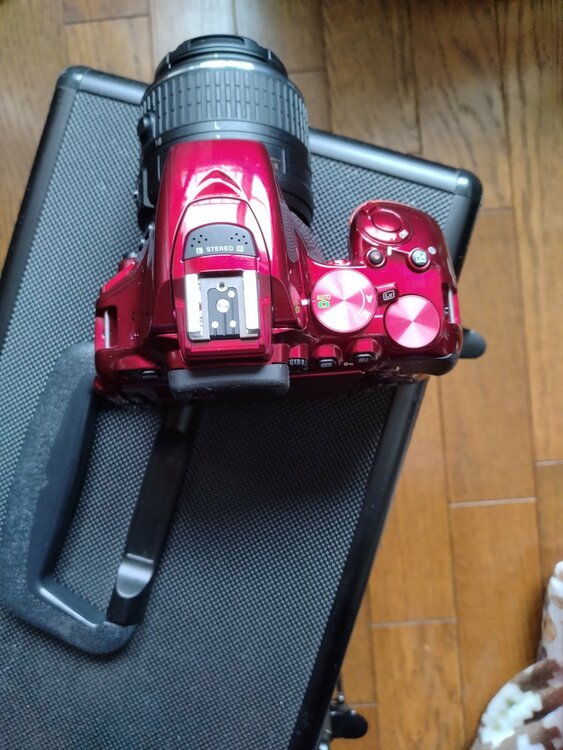 D5500レッドモデルレンズキット（カメラ）の商品画像 - 査定依頼日：2026年4月15日 - 最高査定価格：24,500円