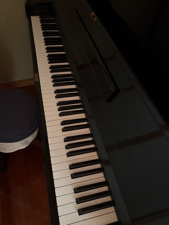 U3H 1497282（ピアノ・楽器・PA機材）の商品画像 - 査定依頼日：2025年10月10日 - 最高査定価格：3,000円