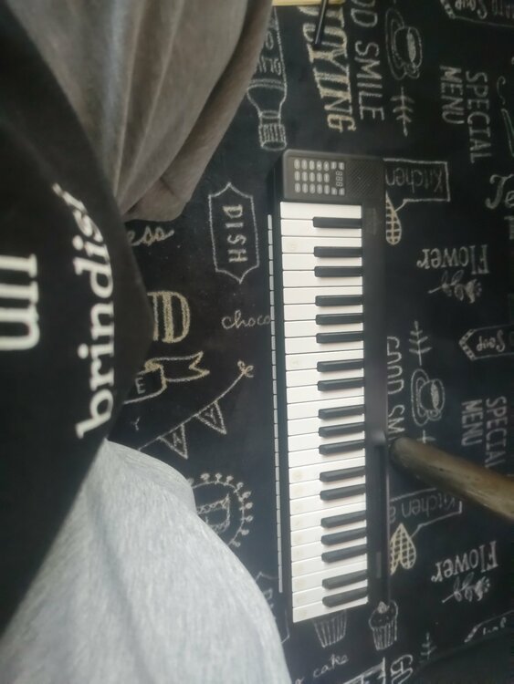 ＲＩＺＫＩＺ電子ピアノ88鍵盤（ピアノ・楽器・PA機材）の商品画像 - 査定依頼日：2026年3月9日 - 最高査定価格：3,000円