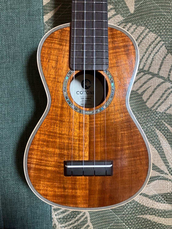 COTONE CUK-700S II（ピアノ・楽器・PA機材）の商品画像 - 査定依頼日：2026年5月25日 - 最高査定価格：25,000円