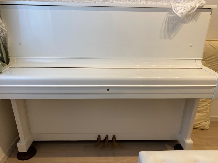 u1 966541（ピアノ・楽器・PA機材）の商品画像 - 査定依頼日：2025年12月7日 - 最高査定価格：5,000円
