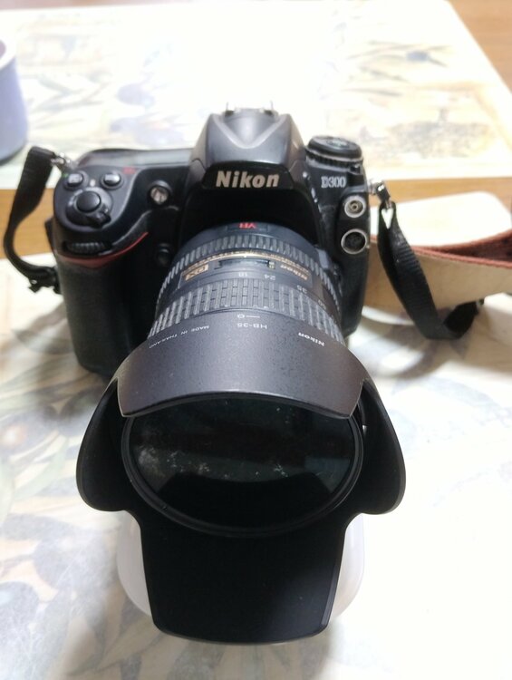 D300（カメラ）の商品画像 - 査定依頼日：2026年9月25日 - 最高査定価格：8,100円