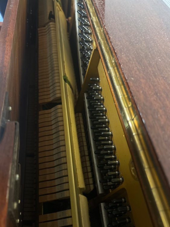 W2664620（ピアノ・楽器・PA機材）の商品画像 - 査定依頼日：2026年3月25日 - 最高査定価格：30,000円